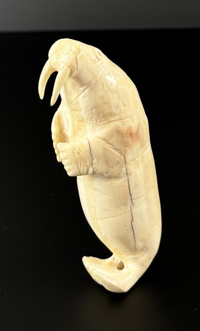 Alaskan Inuit Eskimo Carved Ivory Walrus: 4 7/8" by 1 7/8" by 1 1/4". Native made prior to 1972. This item cannot be shipped to Oregon, California, Hawaii, New York, New Jersey, Internationally, or any other state that prohibits.