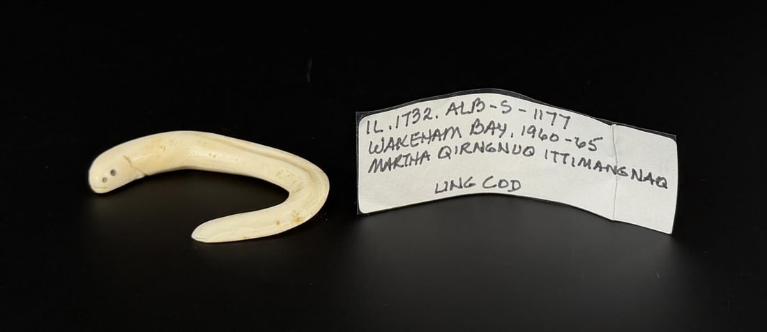 Martha Qirngnuq Ittimangnaq Ivory Carving: Ling Cod. 2 1/8" by 1 1/4" by 1/4". Native made prior to 1972. This item cannot be shipped to Oregon, California, Hawaii, New York, New Jersey, Internationally, or any other state that prohibits.