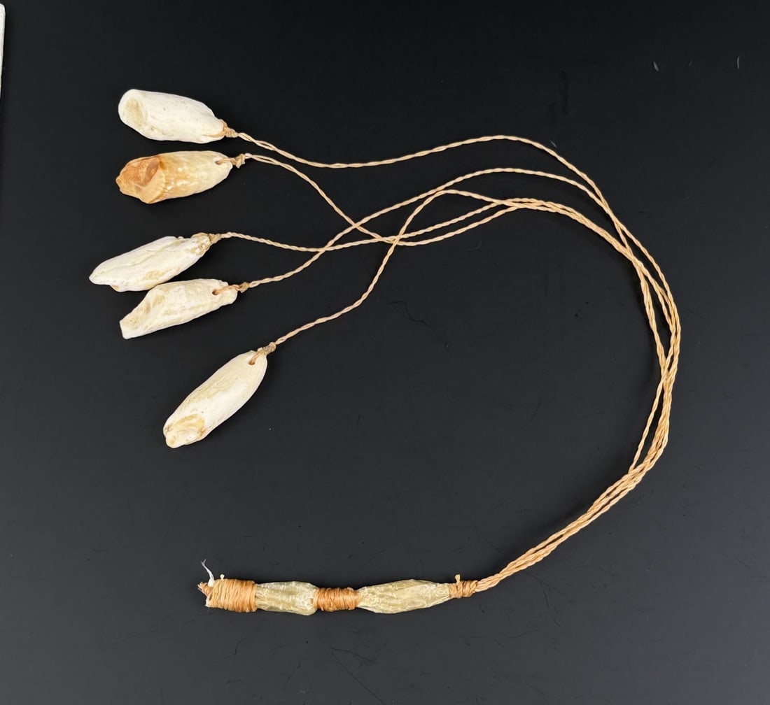 Alaskan Inuit Eskimo Walrus Tooth Hunting Bola: 25 5/8" long. Native made prior to 1972. This item cannot be shipped to Oregon, California, Hawaii, New York, New Jersey, Internationally, or any other state that prohibits.