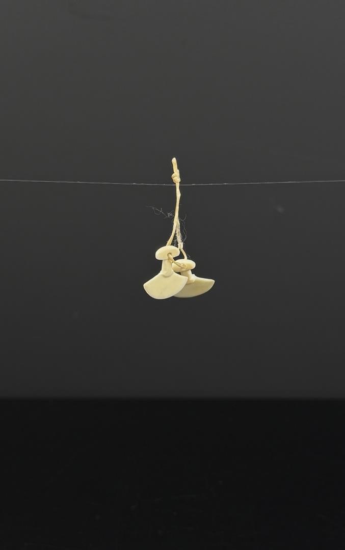 Enuki Kunnuk Alaskan Inuit Eskimo Ivory Earrings: Native made prior to 1972. This item cannot be shipped to Oregon, California, Hawaii, New York, New Jersey, Internationally, or any other state that prohibits. Each ivory piece is 3/4" long by 1/2" wi