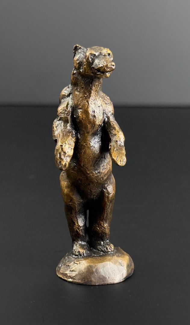 Daro Flood Alert Bear Bronze (1 of 8)