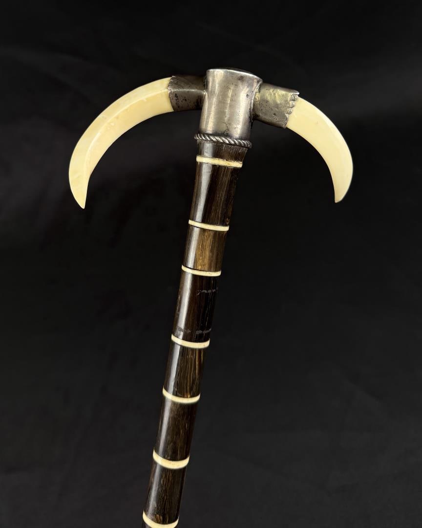 Folk Art Boar Tusk Walking Stick Cane: Sterling silver top with Boar Tusks. Shaft is made from Buffalo Horn. 36" long.