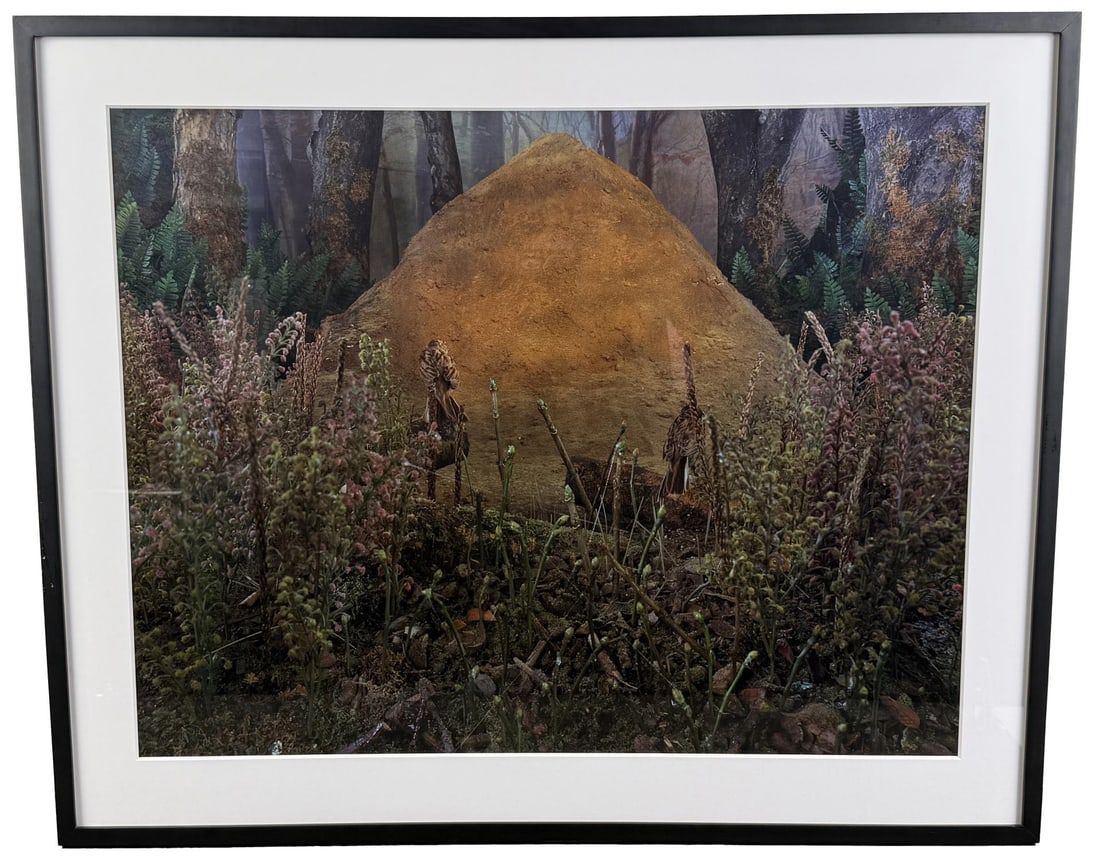 Gregory Crewdson Natural Wonder Chromogenic Print: Title is Natural Wonder. 35 1/2" by 27" unframed. 43" by 35" framed. Chromogenic print. Gregory Crewdson. Born 1962 Brooklyn, New York. Known for: Conceptual art-documentary themes, photography. Grego