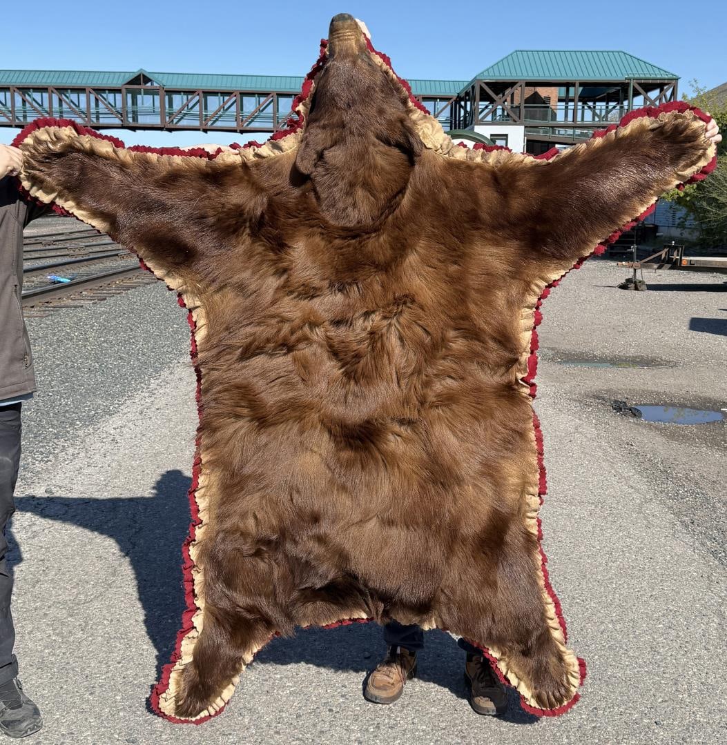 Montana Taxidermy Black Bear Rug: 67" by 72". Only for sale where legal. No International Sales. Know your own laws. No sales to Alabama, California, Florida, Georgia, Mississippi, Kentucky, Massachusetts, Nebraska, North Dakota,