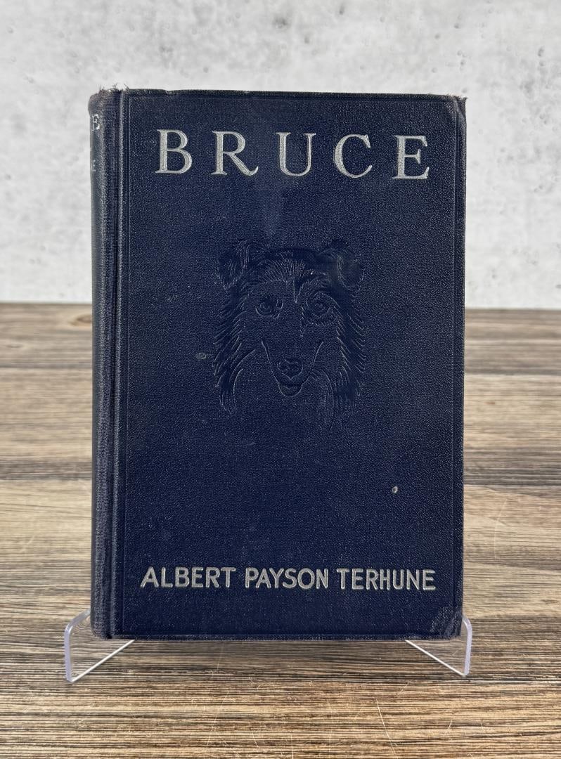 Bruce (1 of 7)