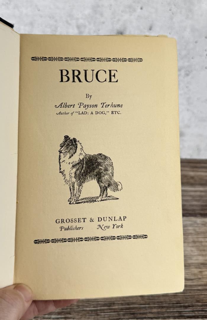 Bruce - 4