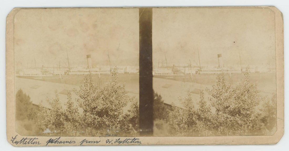 Lyttelton Harbour New Zealand Stereoview: The back shows the Halton Garden on January 1st, 1910.