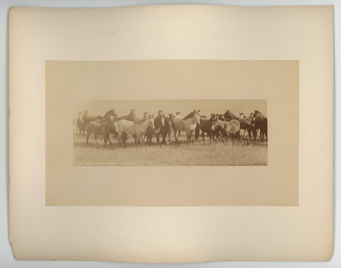 Truman Ward Ingersoll Dakota Territory Photo (1 of 4)