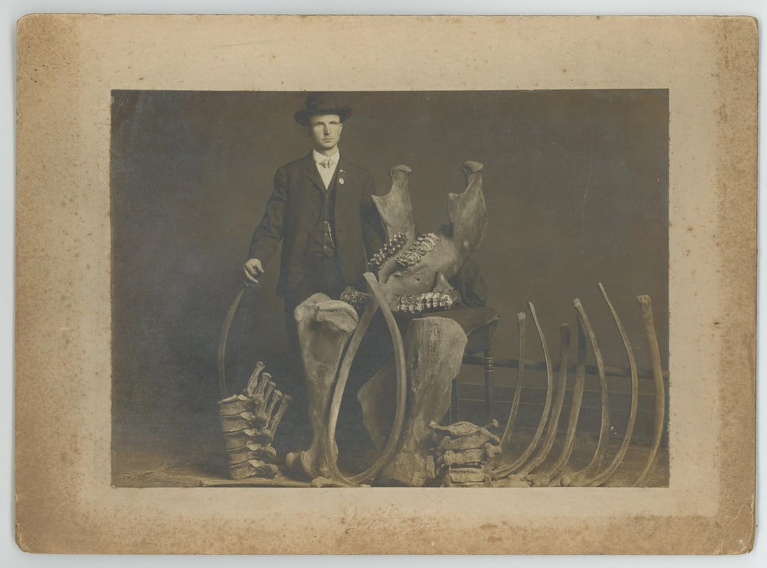 1909 Mastadon Skeleton Photo (1 of 3)
