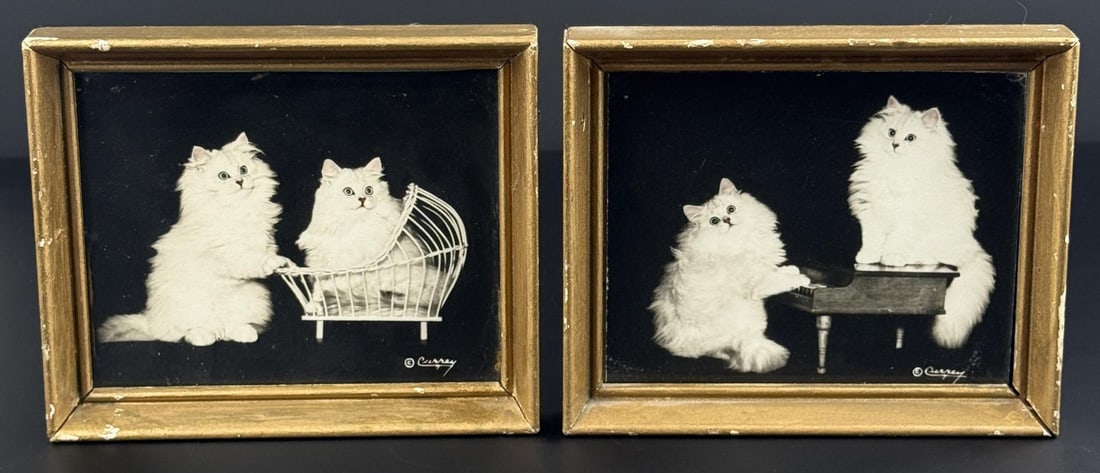 Pair of Bradley R. Currey Persian Cat Photos: Measures 5 7/10" by 5 7/10".