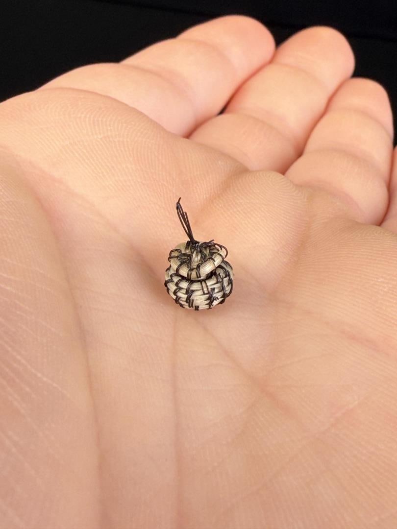 Papago Miniature Horsehair Basket (1 of 4)