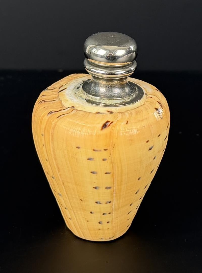 Snail Shell Bottle - 2