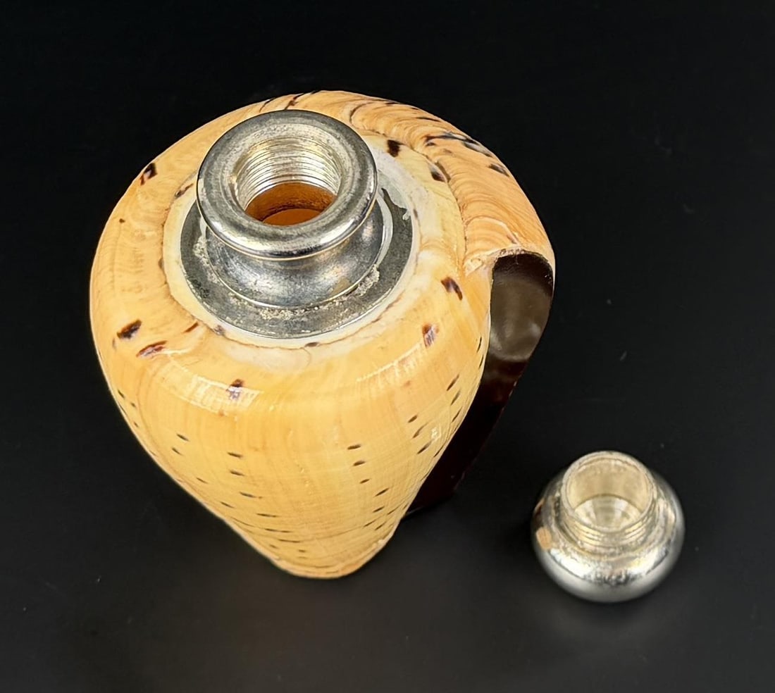 Snail Shell Bottle - 4