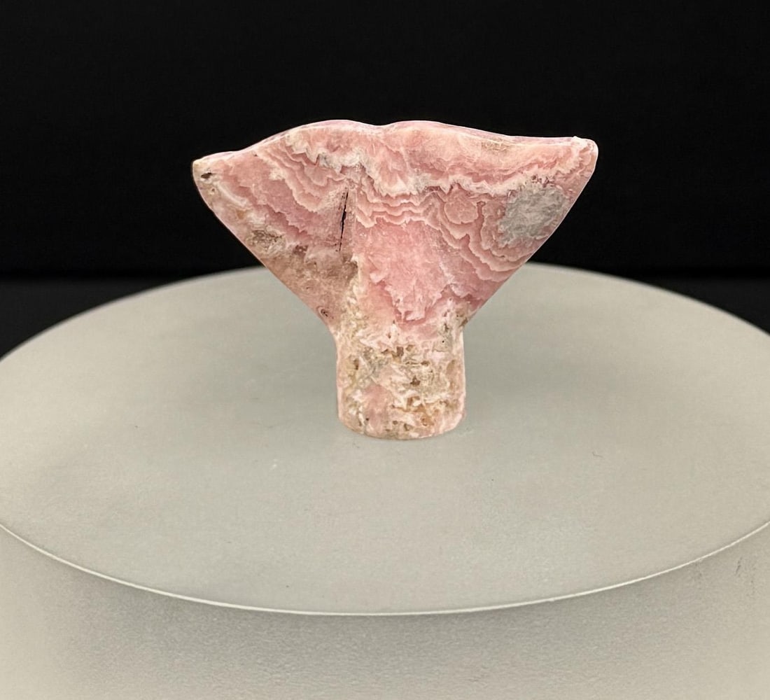 Rhodochrosite Whale Tail Carving: 1 1/2" by 1 1/4" by 3/8". 12.9 grams.