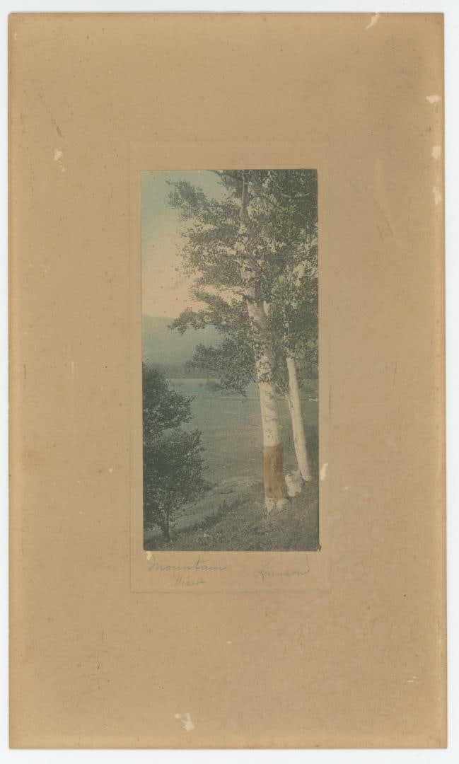 JH Lamson Mountain View Tinted Photo (1 of 3)