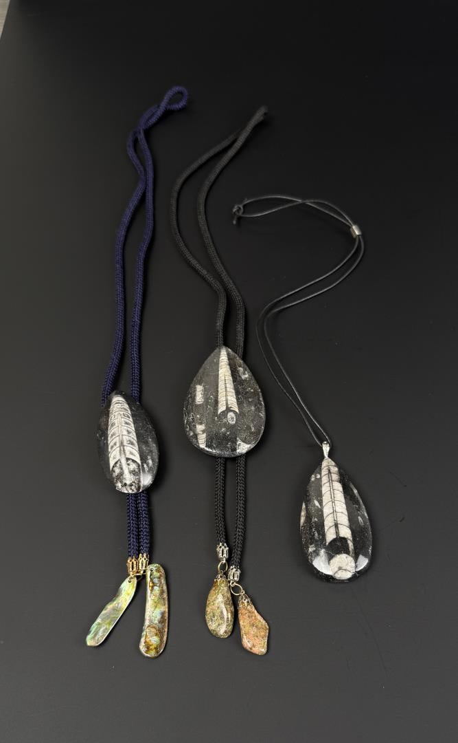 Group of Orthoceras Fossil Bolo Ties (1 of 14)