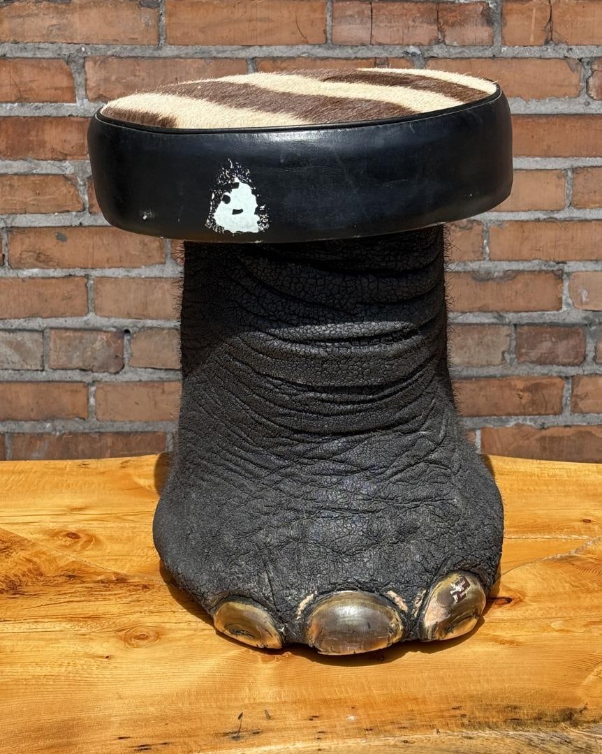Trophy Room Taxidermy Elephant Foot Stool (1 of 11)
