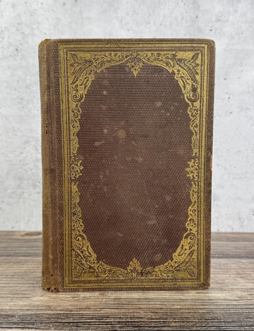 Nurse and Spy in the Union Army: Emma E. Edmonds. 1865