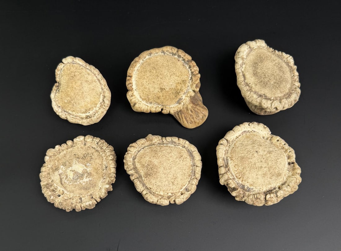 Elk Antler Rosettes (1 of 5)