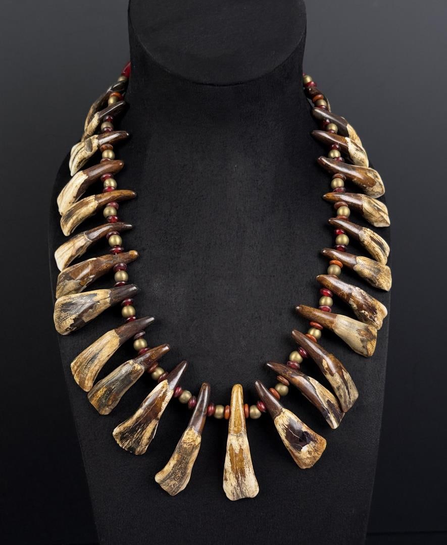 Plains Indian Buffalo Tooth Necklace (1 of 4)