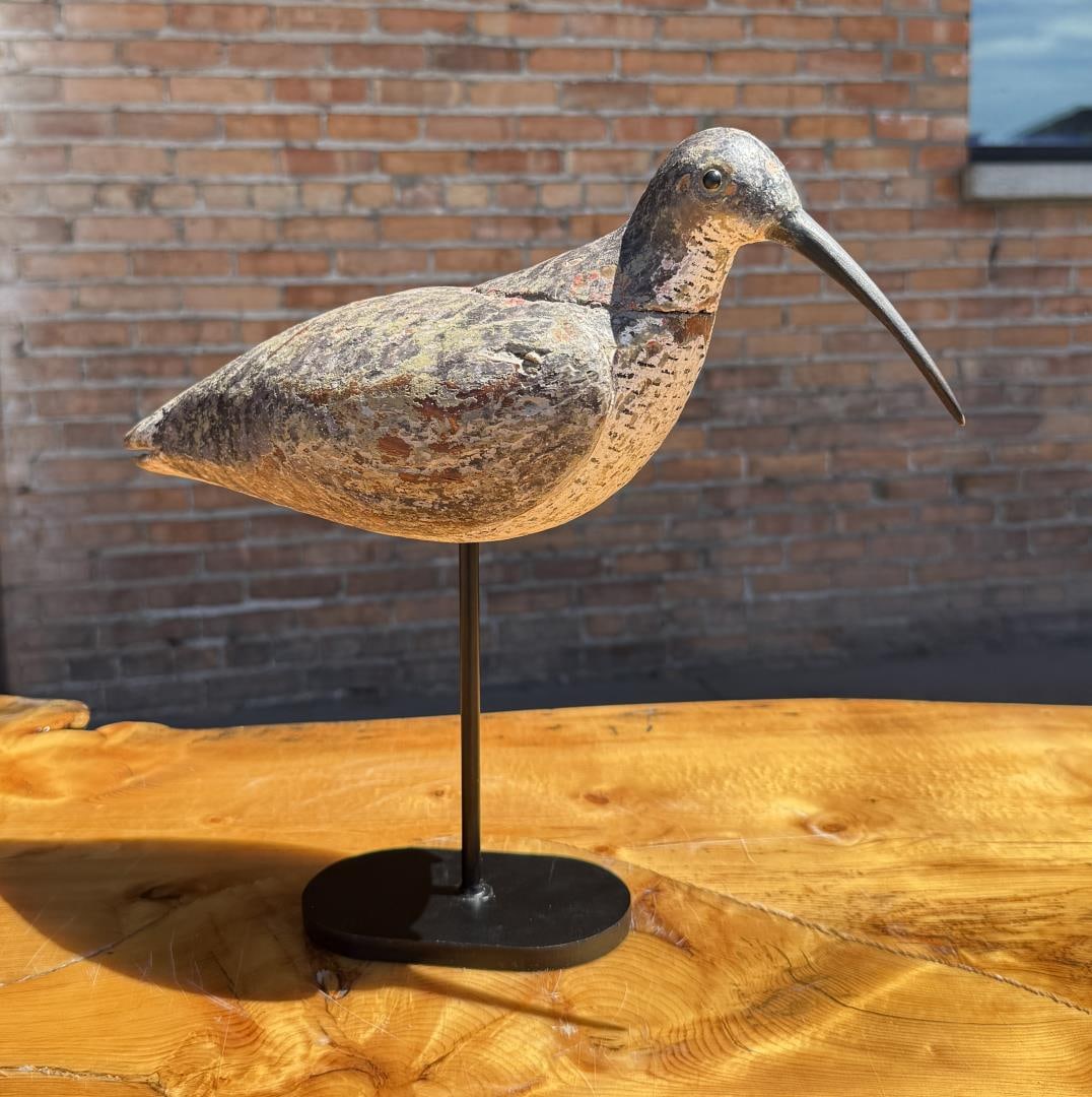 Nantucket Eskimo Curlew Shorebird Hunting Decoy (1 of 18)