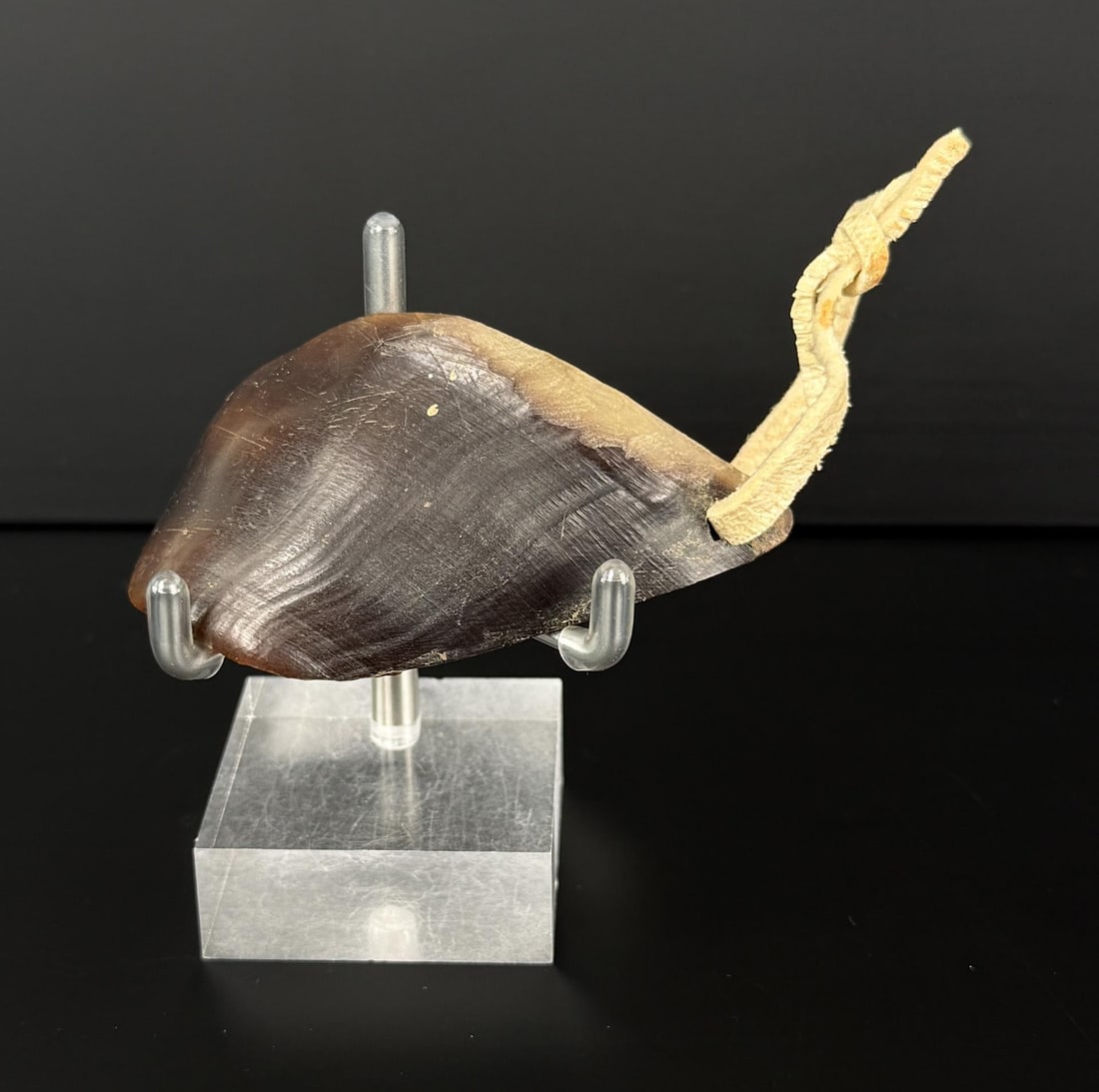 Gros Ventre Native American Indian Horn Spoon: 4" long with thong. Appears to be made from a goat hoof. Mid 19th Century.