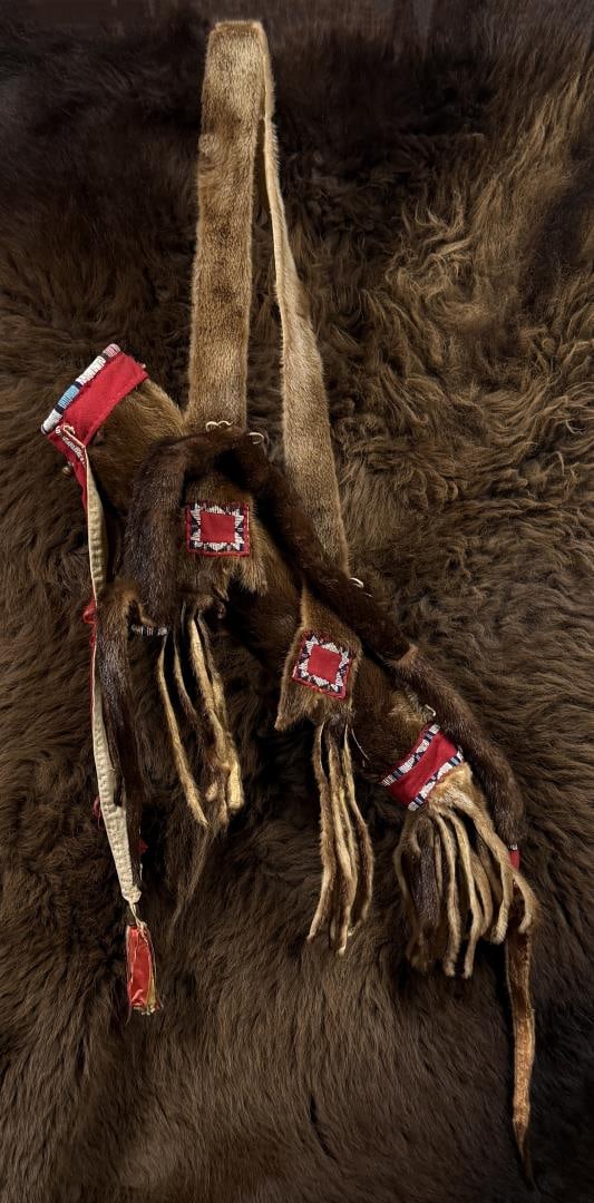 Crow Native American Indian Otter Bow Case: Quiver by itself is 24 1/2" long without drops or sling. 46" long overall as displayed. Last Quarter of the 19th Century.