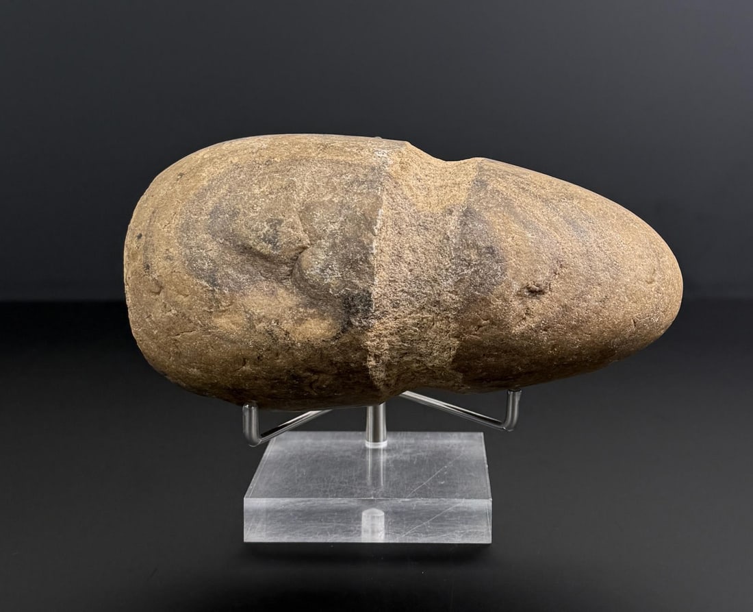 Ancient Native American Stone War Club: 7 1/8" long. Chipped on reverse.