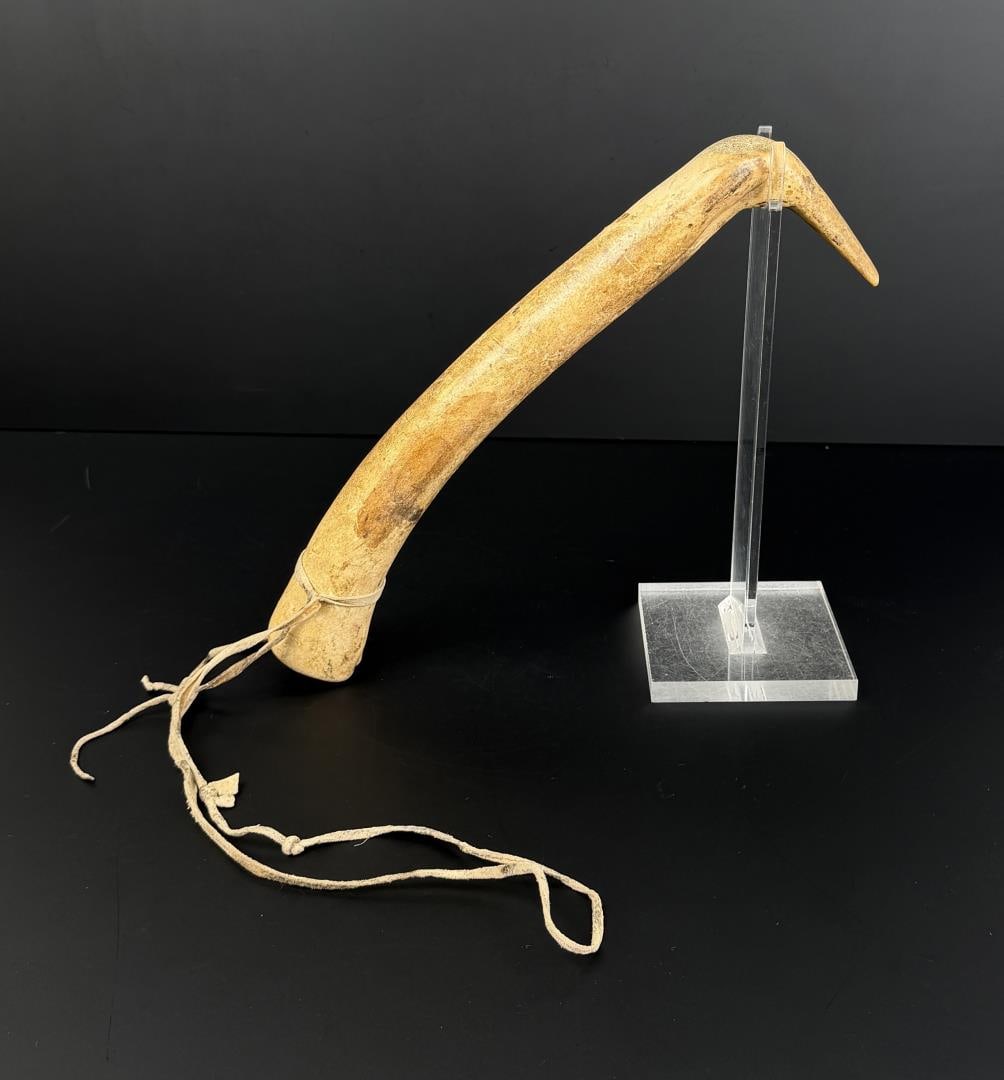 Montana Crow Indian Elk Horn Hide Scraper: 14 1/2" long. First half of the 19th Century.