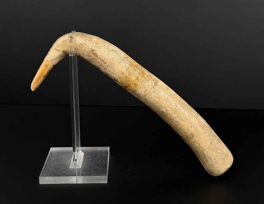 Montana Crow Indian Elk Horn Hide Scraper: 13" long. First half of the 19th Century.