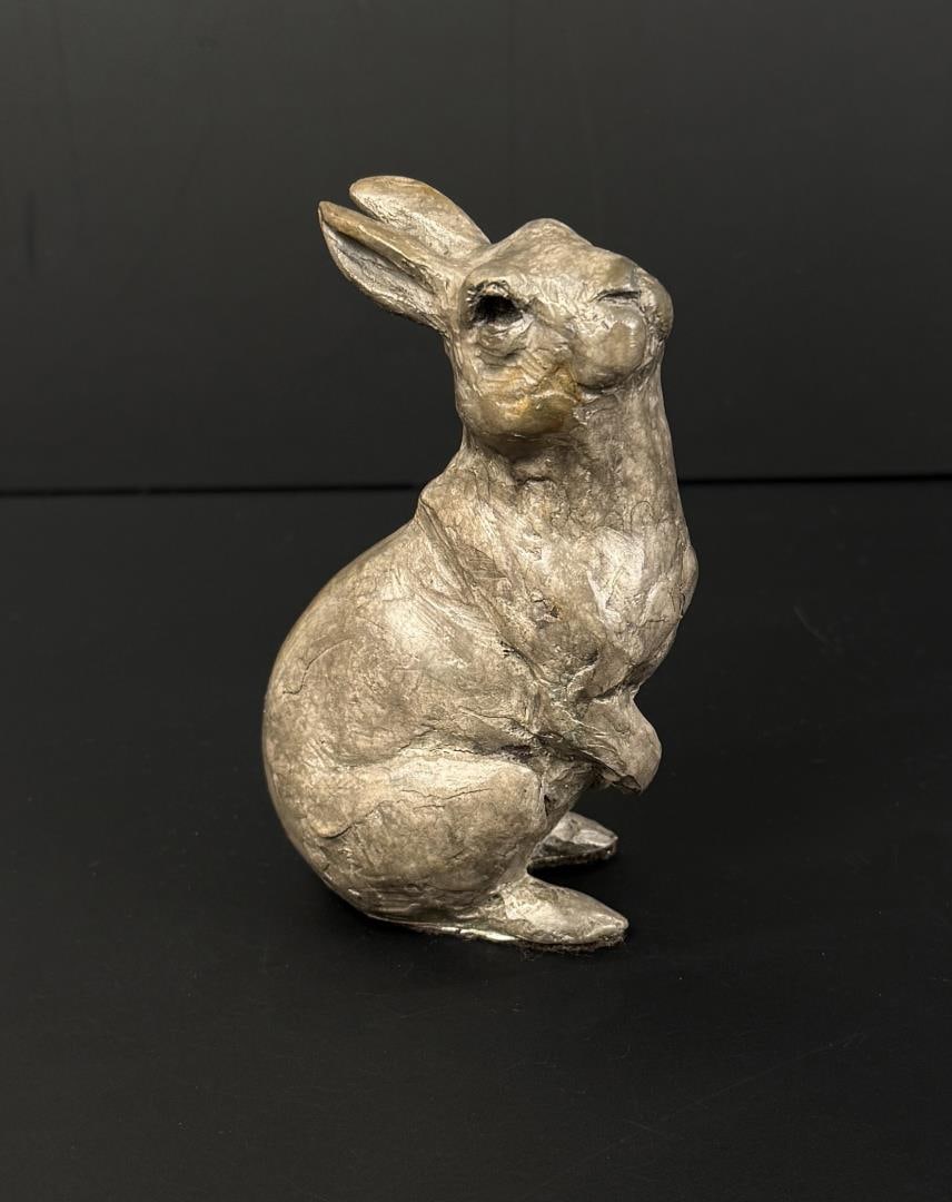 Robin Laws Just One Buck Bronze (1 of 7)