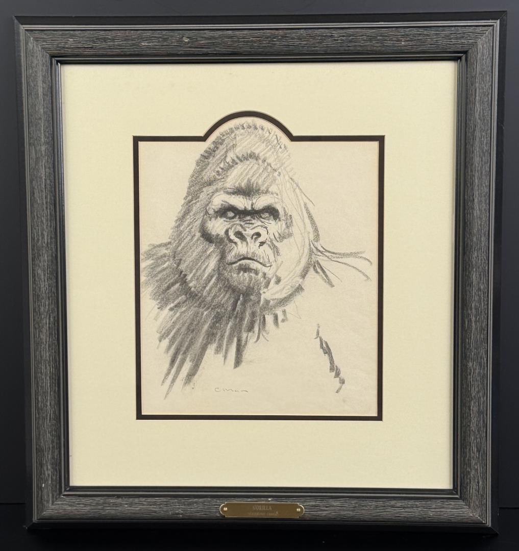 Sheridan Oman Gorilla Drawing: Title is Gorilla. 10" by 12" unframed, 20" by 22" framed. Pencil on paper. Sheridan Oman. 1926 New Jersey - c.1995. Known for: Wildlife painting and sculpture. Printmaker, painter, and sculptor Sherid