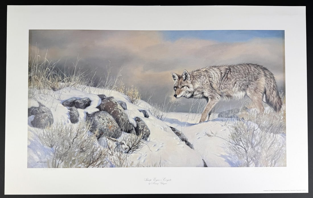 Nancy Glazier Sharp Eyes Coyote Print: 34 1/2" by 21 1/2" unframed. Edition 268/1200. Nancy Glazier (Born 1947) is active/lives in Montana. Nancy Glazier is known for Wildlife-herd animals, landscape. Wildlife painter, Nancy Glazier, speci