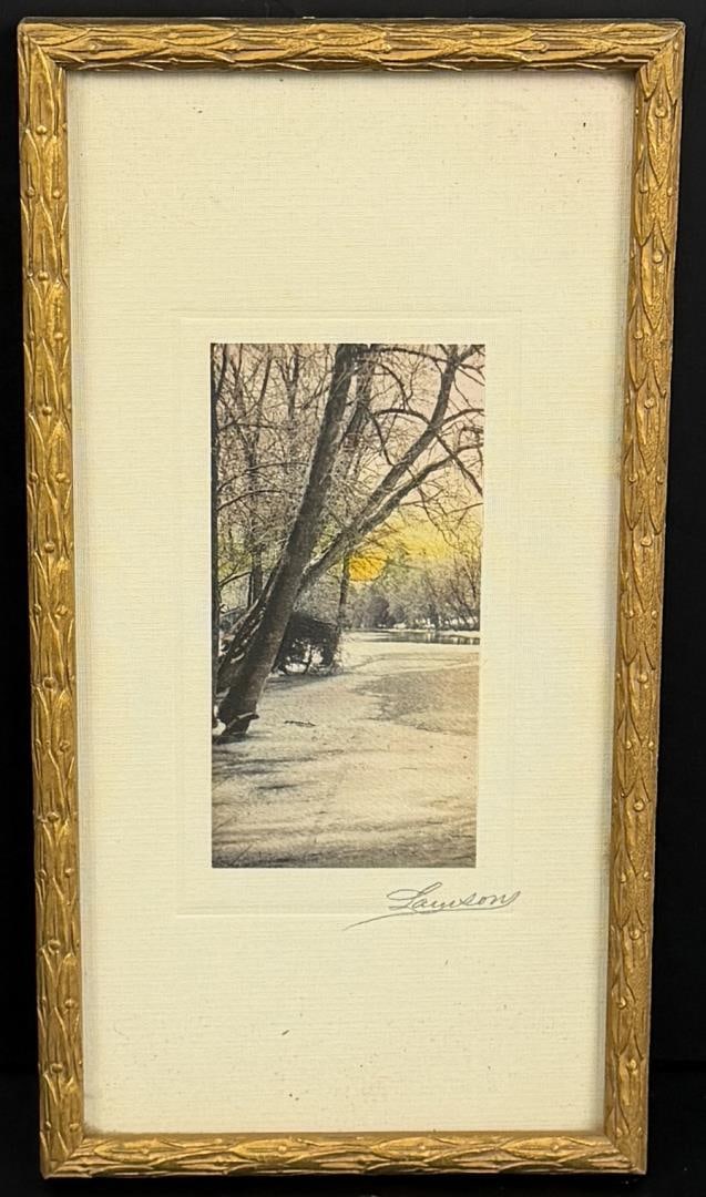 Lamson Nature Prints Hand Tinted Photo (1 of 4)