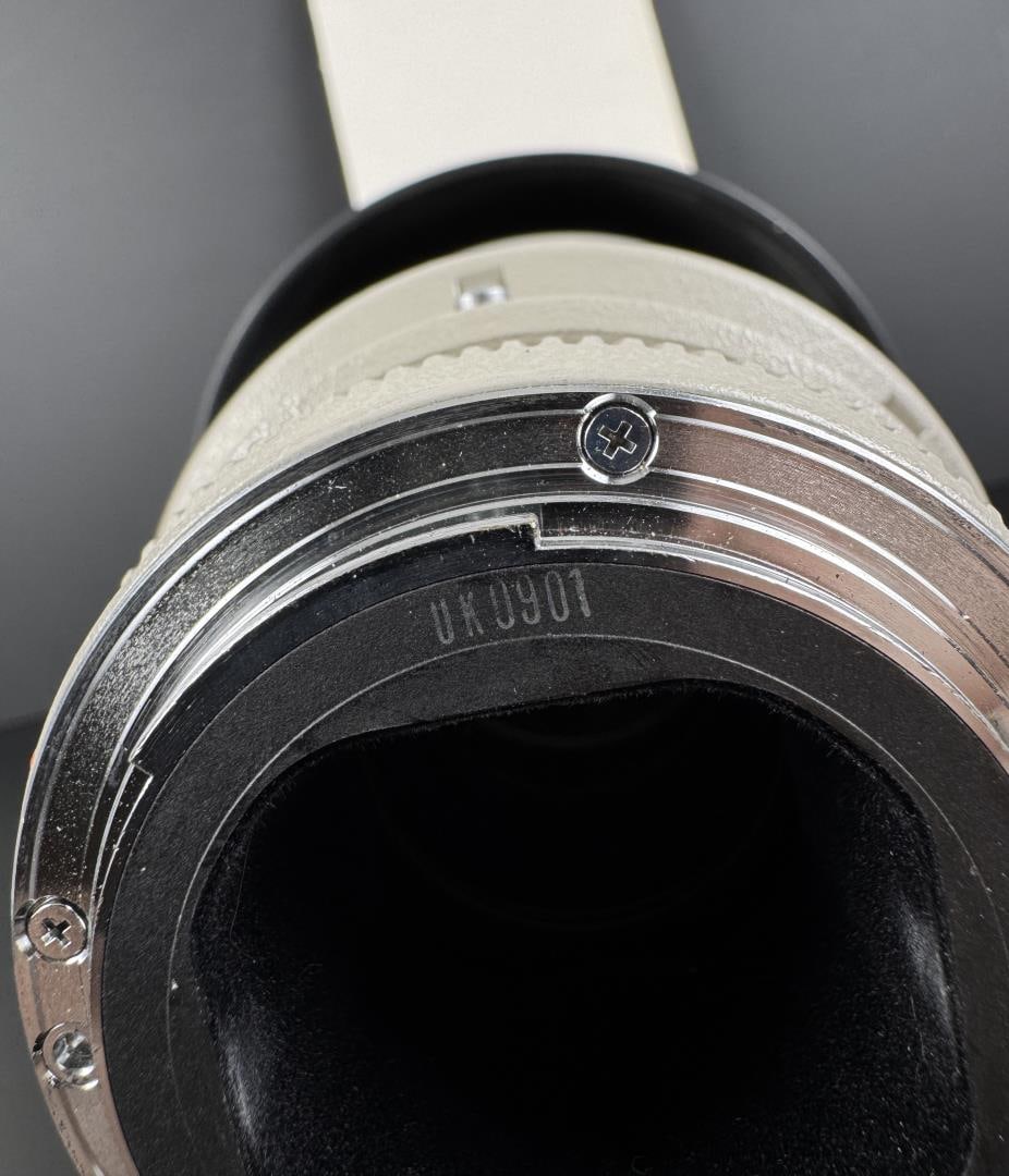Canon EF 400mm 2.8 L II Ultrasonic Lens Mamiya - 10