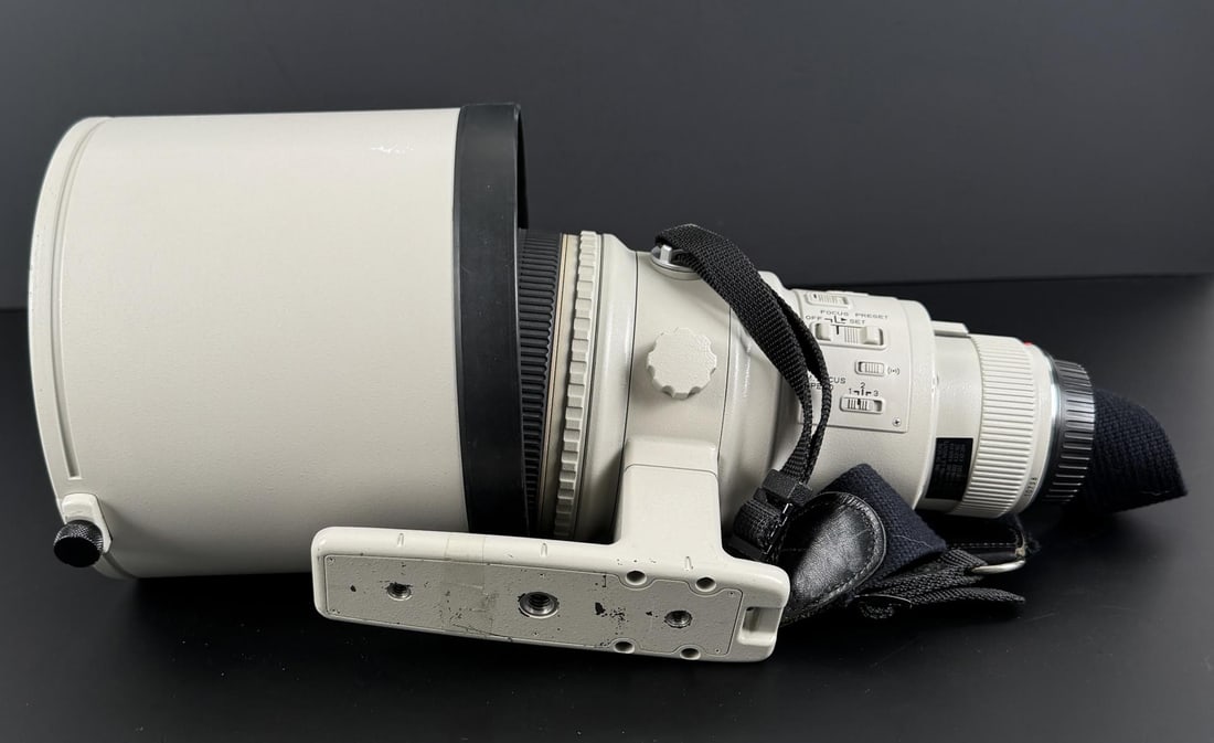 Canon EF 400mm 2.8 L II Ultrasonic Lens Mamiya - 11