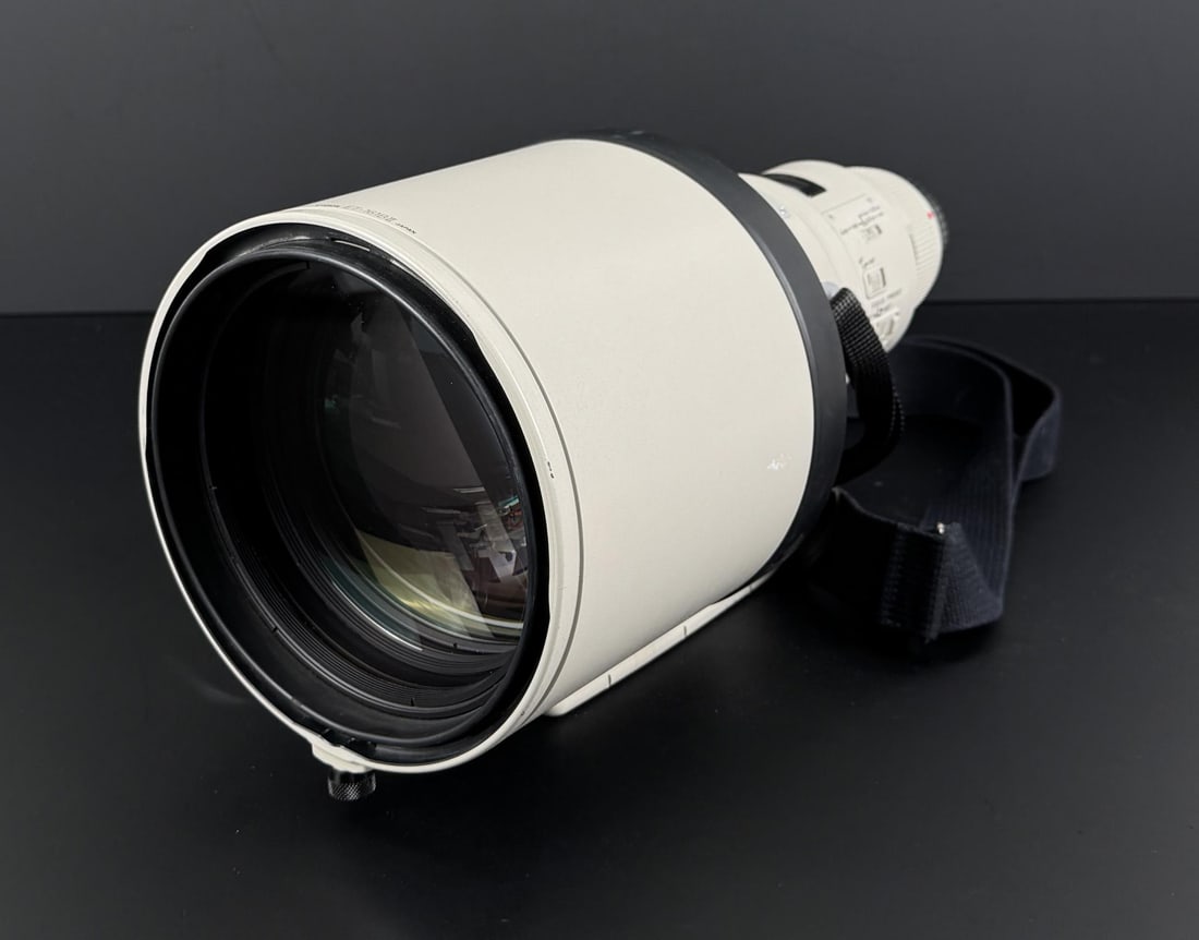 Canon EF 400mm 2.8 L II Ultrasonic Lens Mamiya - 2