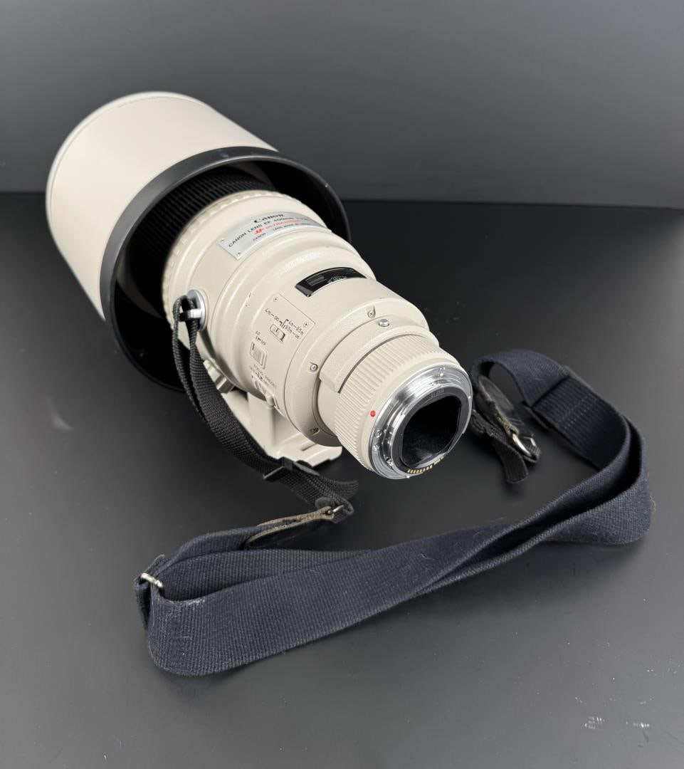 Canon EF 400mm 2.8 L II Ultrasonic Lens Mamiya - 5