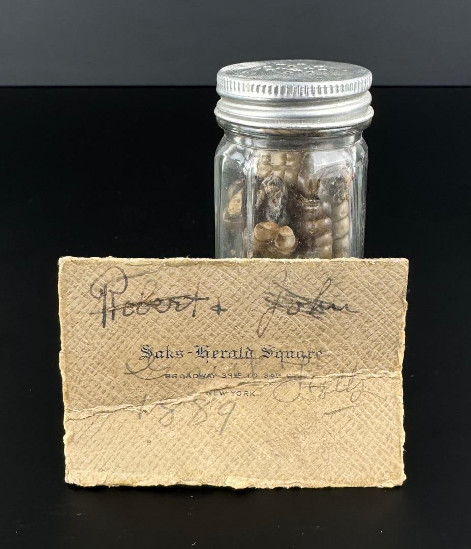 Jar Full of Montana Rattlesnake Rattles: Old note says they were collected in Great Falls 1889. Jar is 3 5/8" tall.