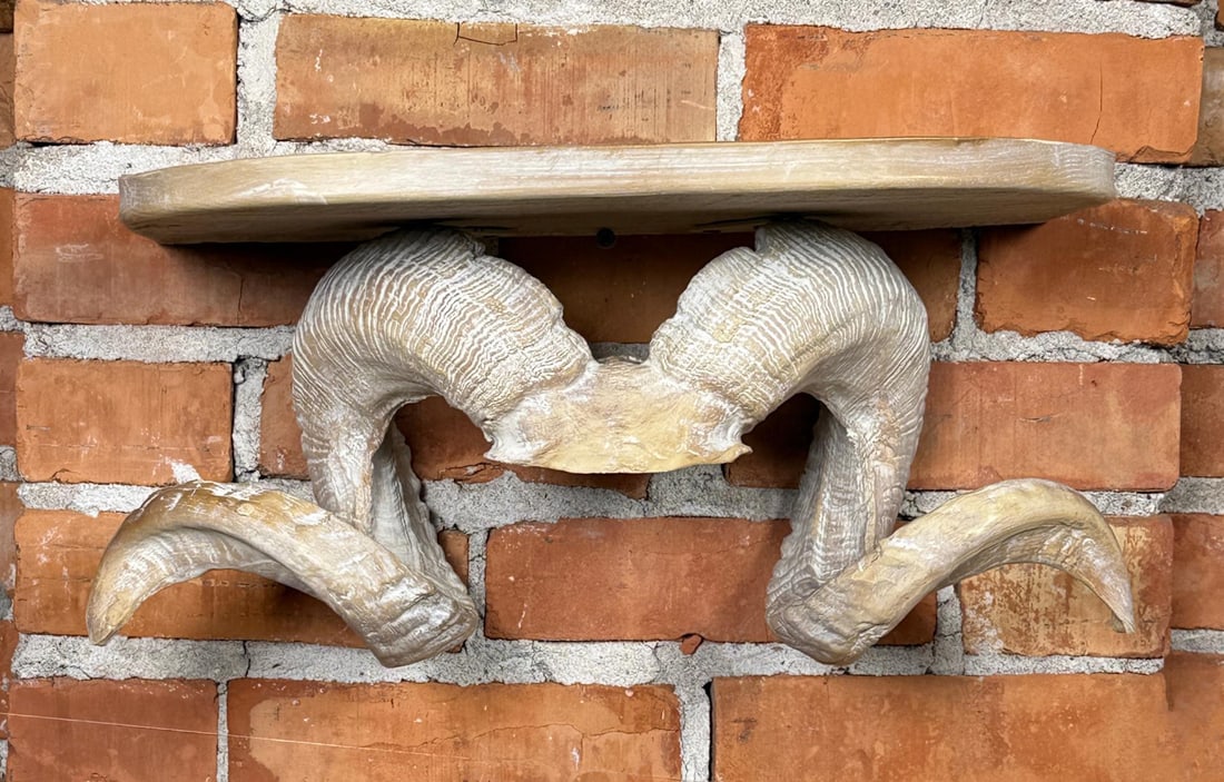 Faux Ram Skull Wall Shelf (1 of 5)