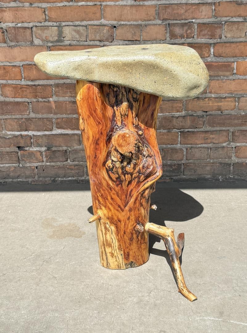 Lodgepole Root and Stone Top Side Table (1 of 5)