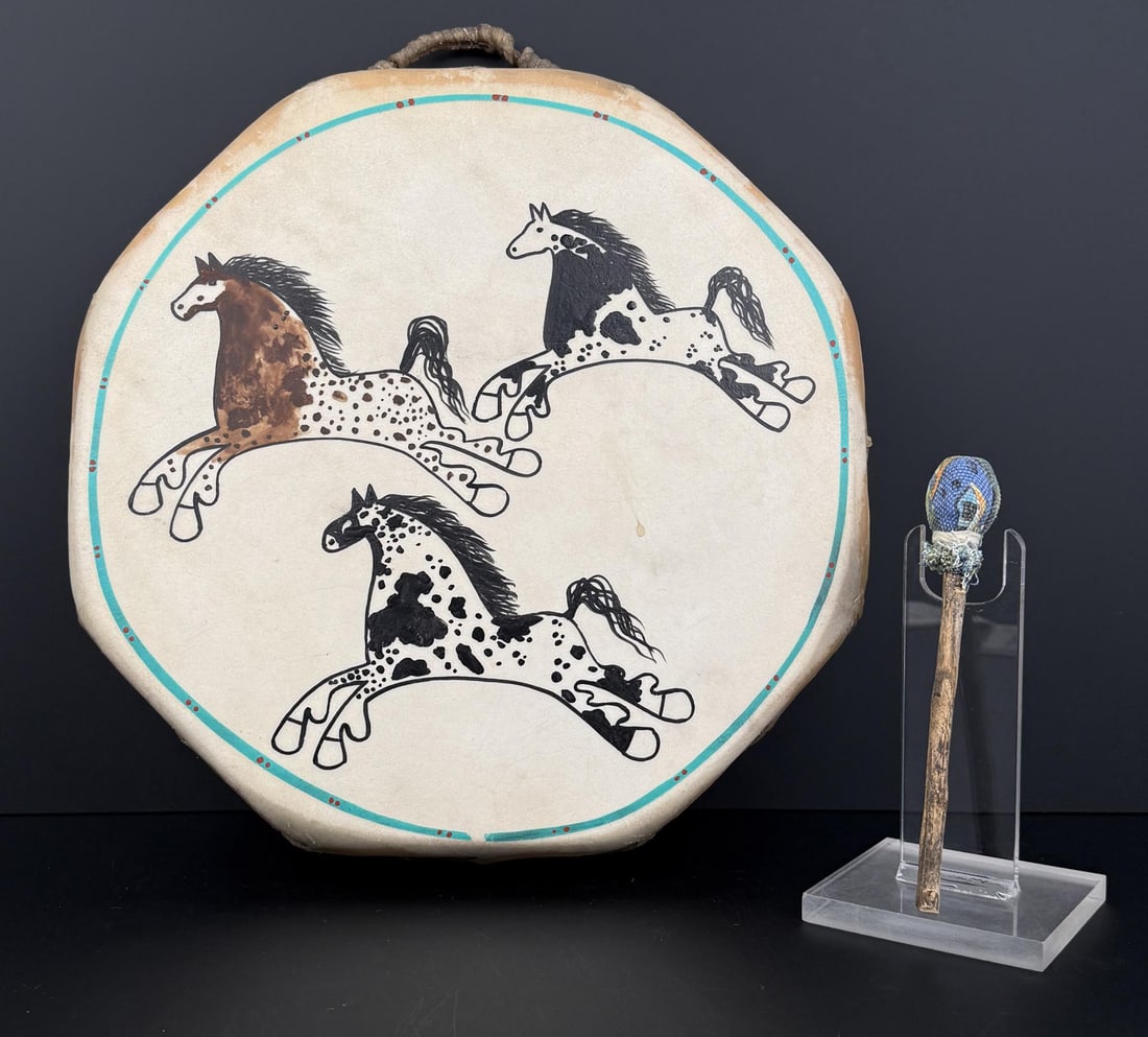 Sioux Native American Indian Buffalo Painted Drum (1 of 6)