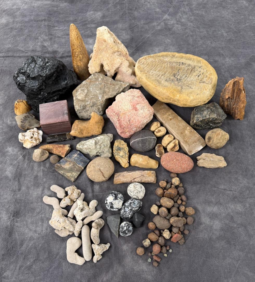 Collection of Fossils and Mineral Specimens: 9.4lbs.