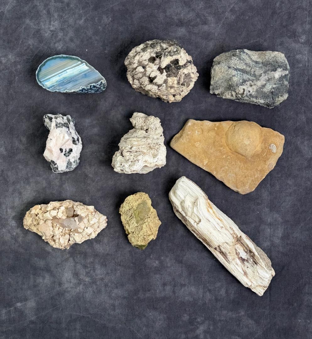 Collection of Mineral Specimens and Fossils: 7.4lbs