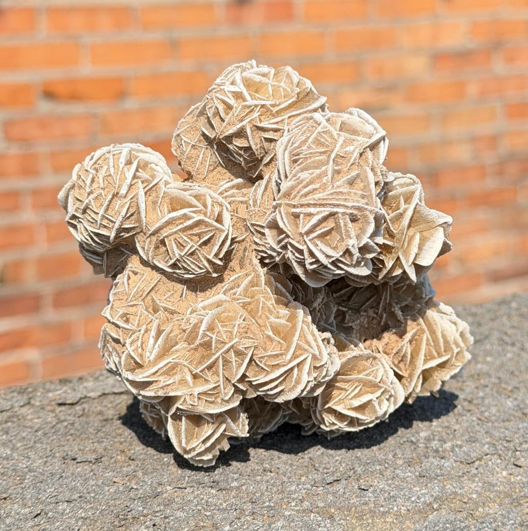 Gypsum Barite Desert Rose Mineral Specimen (1 of 4)