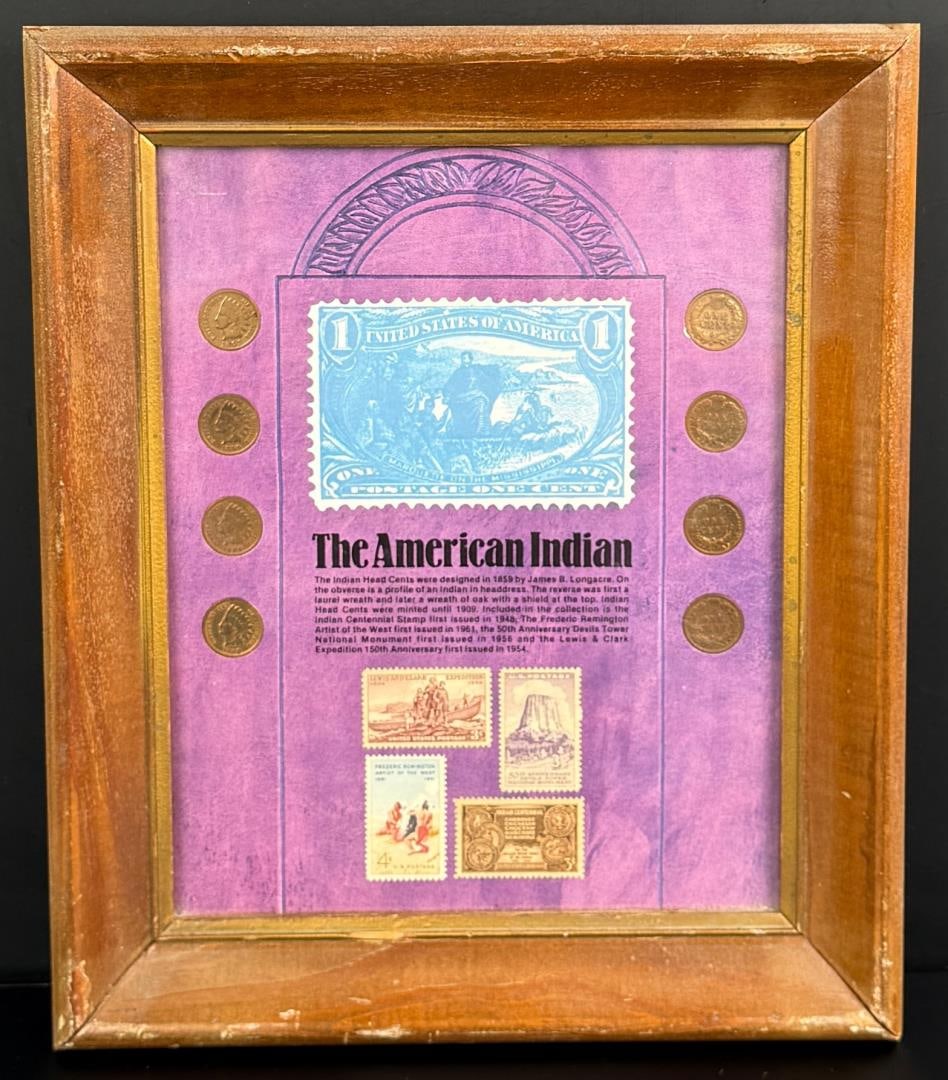 American Indian Head Pennies and Stamp: 10 1/4" wide by 12 1/4" tall framed, 8 pennies total.