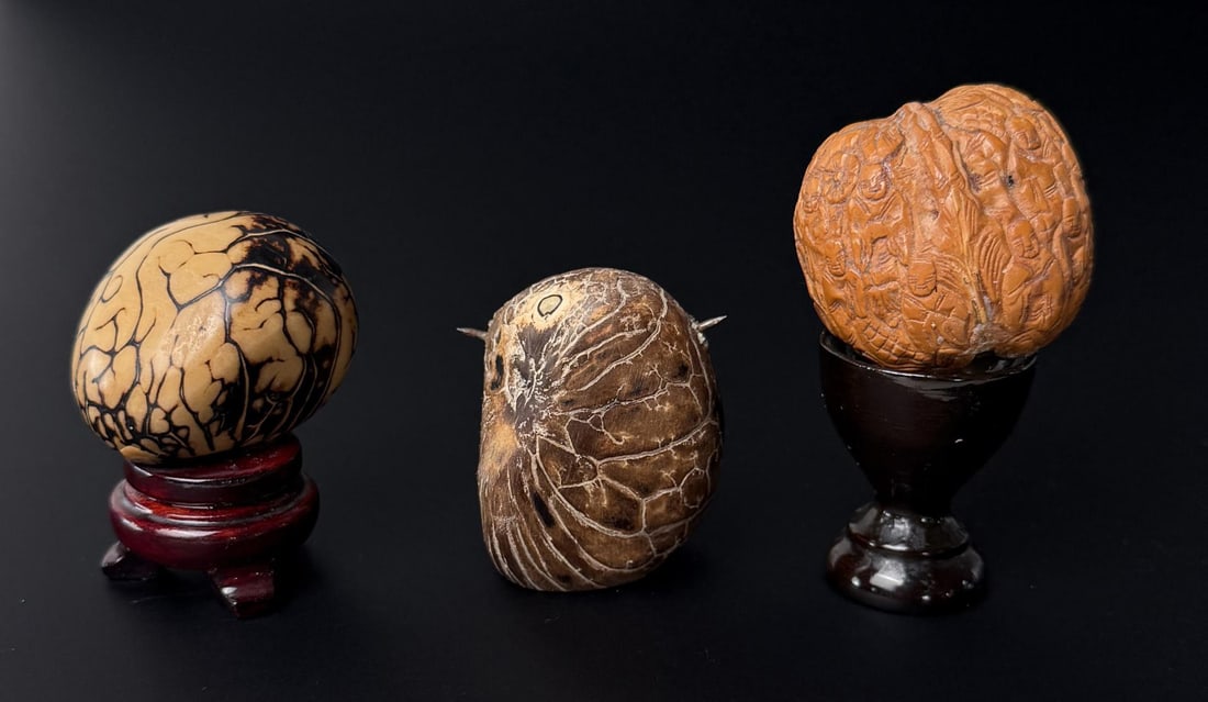 Chinese Hediao Walnut and Tagua Nuts: Nice grouping