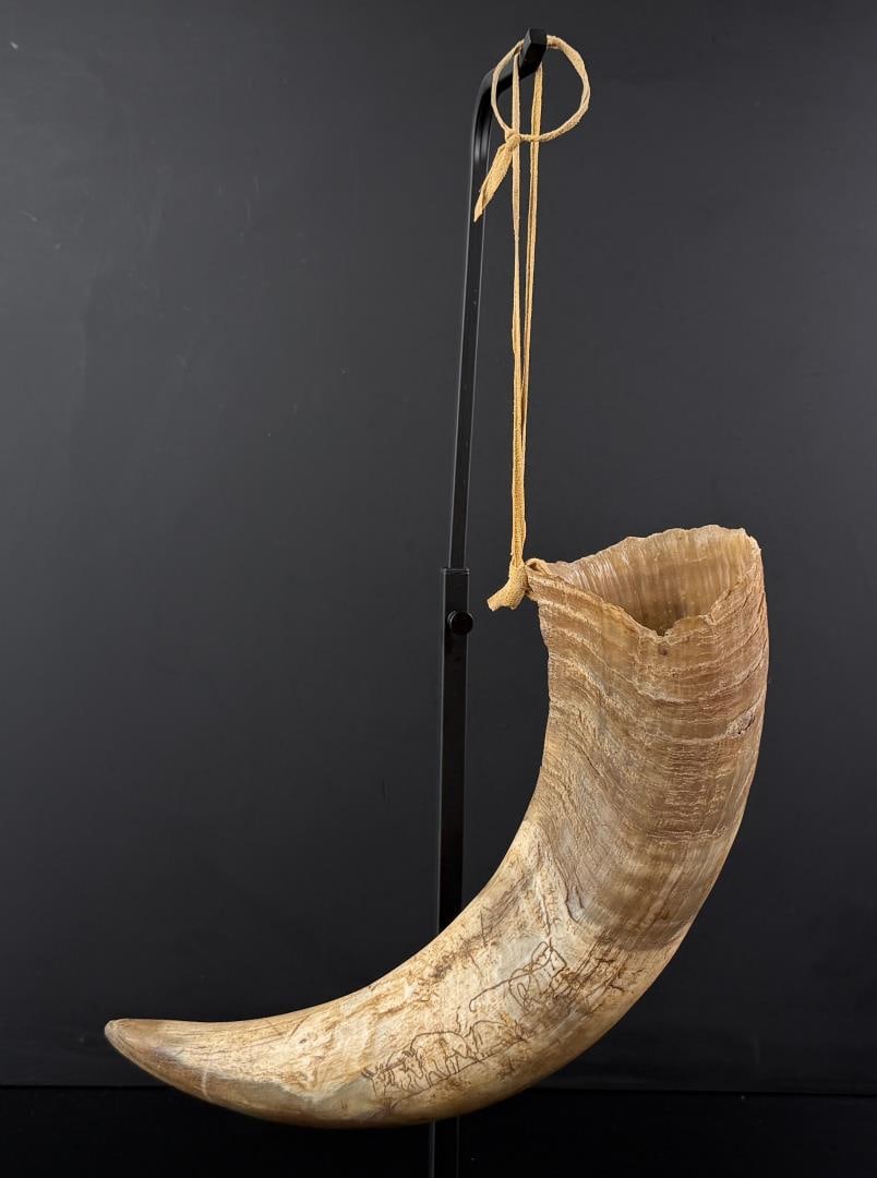 Wagon Train Scrimshaw Steer Horn: 14" long.