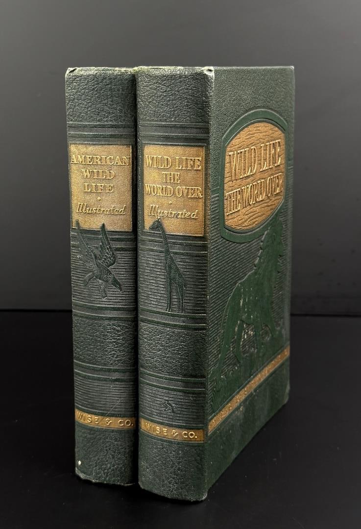 American Wild Life Wild Life the World Over: 1947