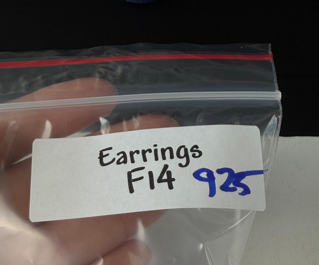 Sterling Silver Earrings - 11